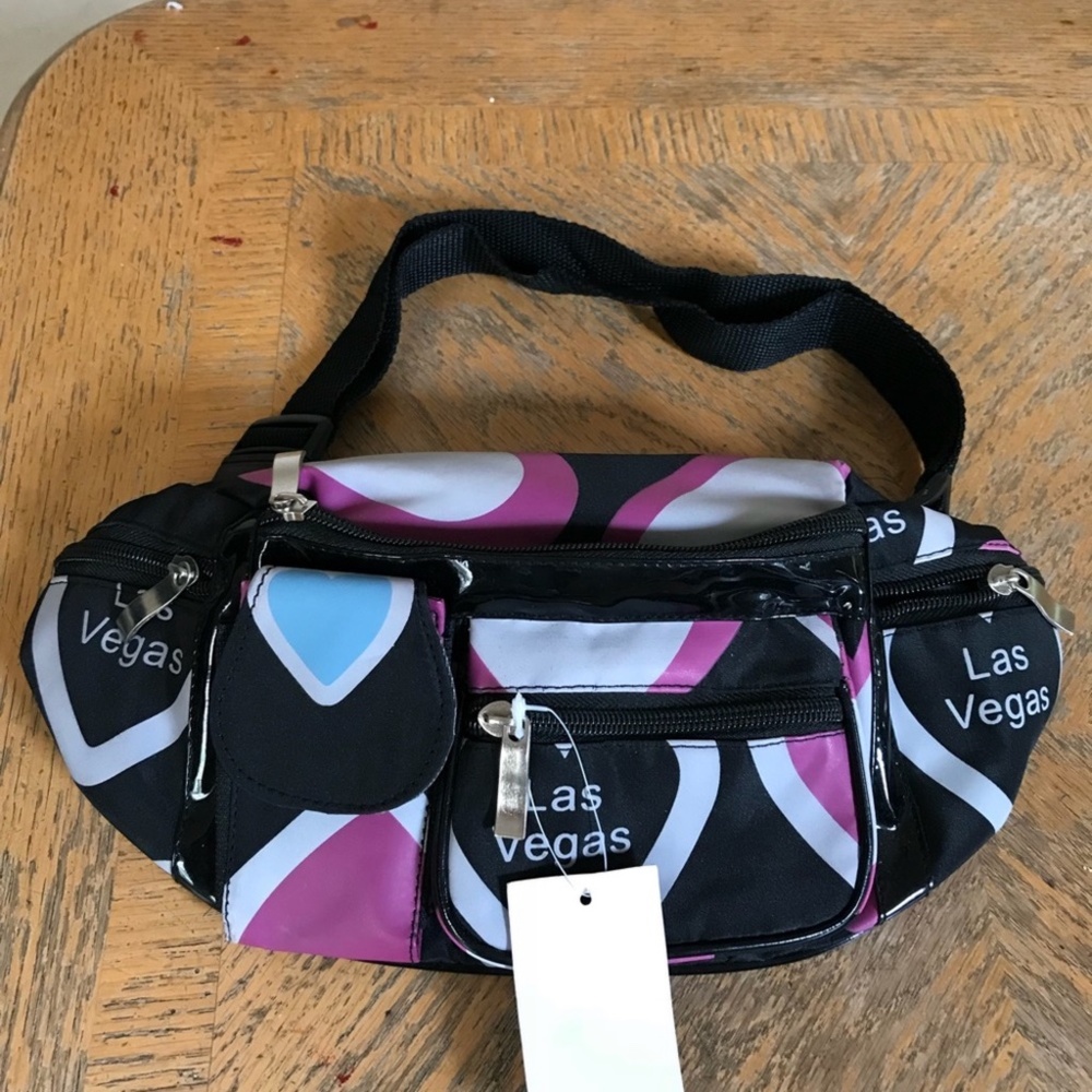 NWT The belt Bag